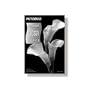 Olympus PICTORICO PHOTO PAP-GLOSSY 13X19 20SHTS ( 200813 )