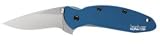 Kershaw Liner Lock Knife