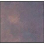 Westcott Masterpiece Muslin Sheet Background, 10' x 12', Bracken Brown