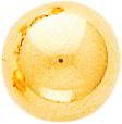 14K Yellow Gold Ball Stud Earrings Jewelry 10mm New