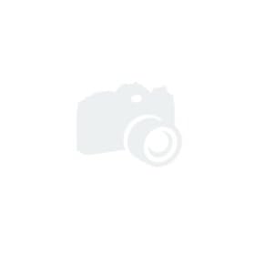 Agenda Tinting / Perming Record Cards Pk100