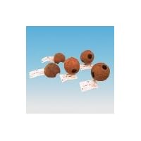 Cocos Cava 3/4 L