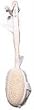Brush-Bristle Back Natural Body Brush - 1 - Brush Brush-Bristle Back Natural Body Brush - 1 - Brush