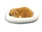 Childrens Toyshop  Toys : Sleeping Dog Pet Nap - Tan Lab [Misc.]