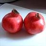 Wonderful Pomegranate Five Gallon Tree