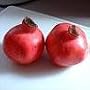 Wonderful Pomegranate Five Gallon Tree