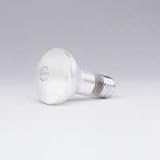 R20 Inside Frost Bulb, 75 Watt