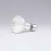 R20 Inside Frost Bulb, 75 Watt