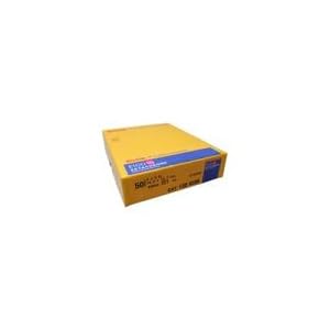 Click here to buy Kodak Ektachrome E100VS Color Slide Film ISO 100, 4 x 5, 10 Sheets, Transparency, - USA.