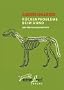 R�ckenprobleme beim Hund: Untersuchungsreport