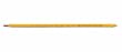 IMMERSION THERMOMETER PROCRAFT