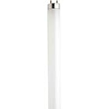 Osram Sylvania F32t8/841/Xp/Eco 32w Cool White