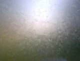 Childrens Toyshop  Toys : 17 3/4 in x 3 ft Brush Strokes