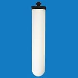 Doulton DUC-1000 Ultracarb 10" Ceramic Candle W9123053 11DUdNTm9aL. SL160