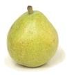 Beurre D' Anjou Pear Tree Five Gallon