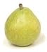 Beurre D' Anjou Pear Tree Five Gallon
