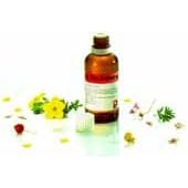 Dr. Reckeweg R33 Convulsion by 