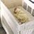 Arm's Reach Cotton Fitted Co-Sleeper Sheet