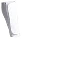 SHIN Pads Elasticated - SENIOR [Misc.]