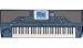 Korg