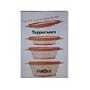 Tupperware 2 Pc FlatOut 4-Cup Container Set. Orange