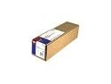 Epson Premierart 17 Inch x 40 Feet Water Resistant Canvas (SP91221)