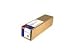 Epson Premierart 17 Inch x 40 Feet Water Resistant Canvas (SP91221)