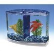 Penn-Plax Betta Bow-Front/Double Tank Kit