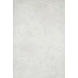 10x12 Gray Mist Washable Background