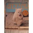 Andy Bear: A Polar Cub Grows Up at the Zoo