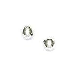 14k White 4 mm Ball Friction-Back Stud Earrings
