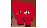 NASCAR GLOVES EARNHARDT #8