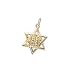 Star of David, 14K Gold Charm