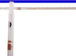 0.1 ML pack of 10