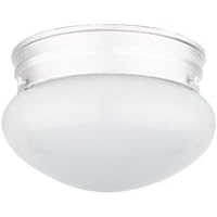 Indoor Ceiling Light Fixture - 6 Fitter by 