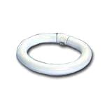 32 watt 12 T9 4-Pin Base Cool White Rapid Start Circline Fluorescent Sylvania Light Bulb