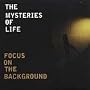 Focus on the Background