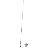 Antenna Cover, Stainless, 98-06 TJ Wrangler by Rugged Ridge