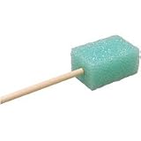 Algae Cleaner on a Stick