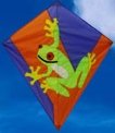 Childrens Toyshop  Toys : Graphic Diamond Tree Frog