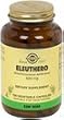 Eleuthro (Siberian Ginseng) 520mg - 100 - VegCap Eleuthro (Siberian Ginseng) 520mg - 100 - VegCap
