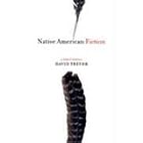 Native American Fiction: A User's Manualpar David Treuer