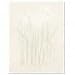Office Products : GEO46882 - Geographics Design Paper