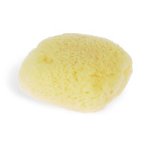 Max Factor International Natural Cosmetic Sponge
