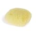 Max Factor International Natural Cosmetic Sponge