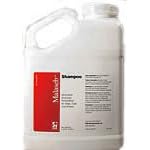 Malaseb Shampoo Gallon