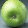 Mutsu Apple Tree Five Gallon