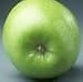 Mutsu Apple Tree Five Gallon