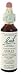 Holly - 20 ml - Liquid