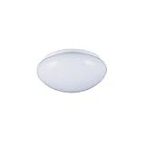 Ceiling Fixtures Sea Gull Lighting 53059